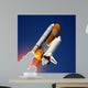 Space Shuttle Launch 