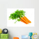Fresh carrots isolated on white background 