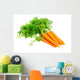 Fresh carrots isolated on white background 