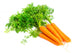 Fresh carrots isolated on white background 