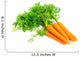 Fresh carrots isolated on white background 