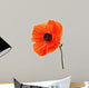 Single poppy isolated on white background. Wall Decal