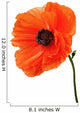 Single poppy isolated on white background. Wall Decal