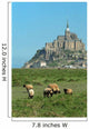 Mont Saint-Michel and lambs - France - Europa Wall Mural