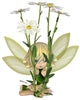 Cute Toon Daisy Fairy, Sitting Wall Mural