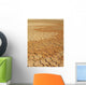Dry Lake Bed 1 Wall Decal