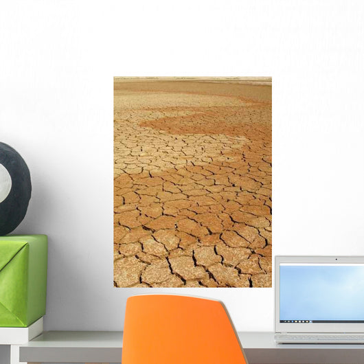 Dry Lake Bed 1 Wall Decal