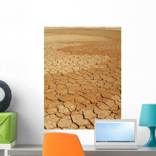Dry Lake Bed 1 Wall Decal