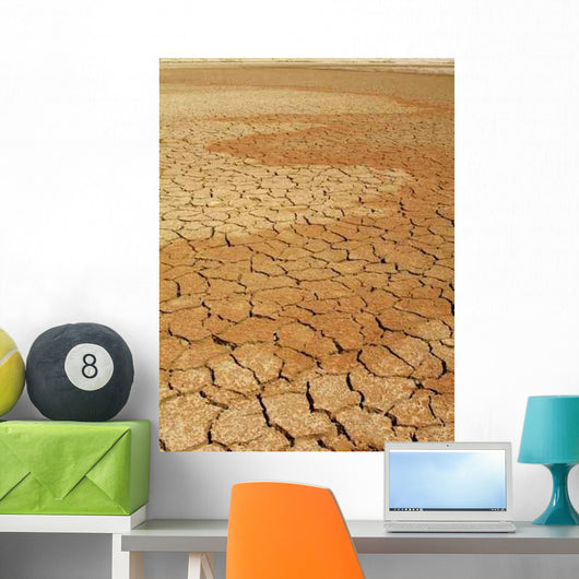 Dry Lake Bed 1 Wall Decal