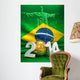 Brazil 2014 