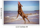 dog jumping up to catch a ball 