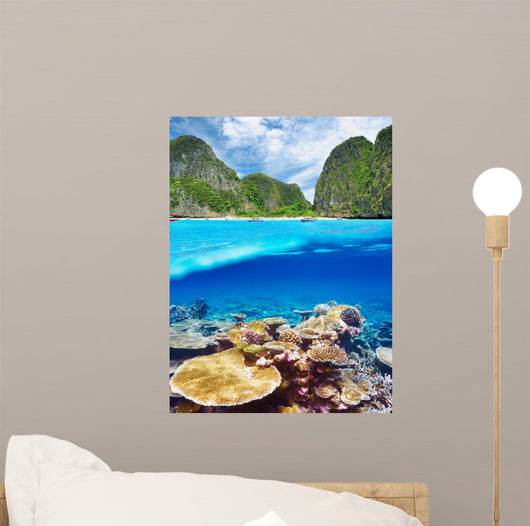 Lagoon with coral reef underwater view 