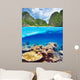 Lagoon with coral reef underwater view 