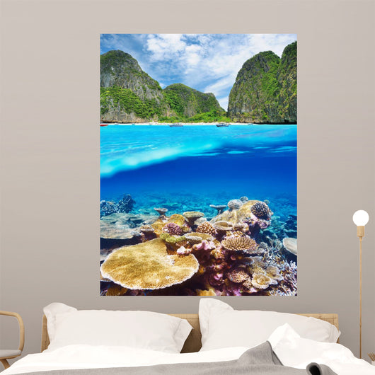 Lagoon with coral reef underwater view 