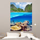 Lagoon with coral reef underwater view 