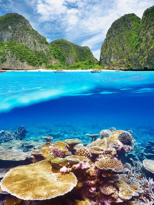 Lagoon with coral reef underwater view 