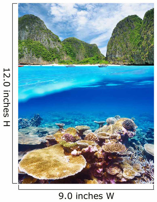 Lagoon with coral reef underwater view 