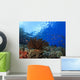 Coral and Fish underwater Wall Mural