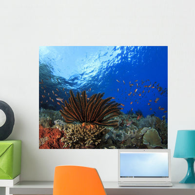 Coral and Fish Underwater Wall Mural shown on a wall