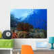 Coral and Fish underwater Wall Mural