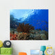 Coral and Fish underwater Wall Mural