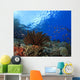 Coral and Fish underwater Wall Mural