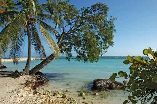 Beach Guadeloupe Wall Decal