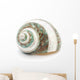 Sea Shell Wall Decal