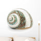 Sea Shell Wall Decal