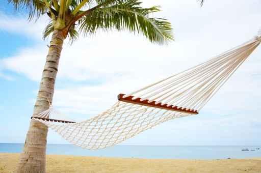 Hammock Wall Decal