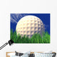 golf ball Wall Mural