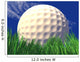 golf ball Wall Mural