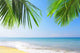 Tropic Surf Wall Decal