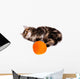 Funny Kitten and Ball of Thread on White Background Wall Decal