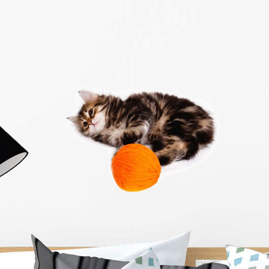 Funny Kitten and Ball of Thread on White Background Wall Decal