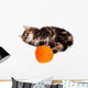 Funny Kitten and Ball of Thread on White Background Wall Decal