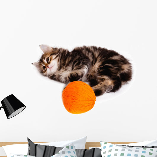 Funny Kitten and Ball of Thread on White Background Wall Decal