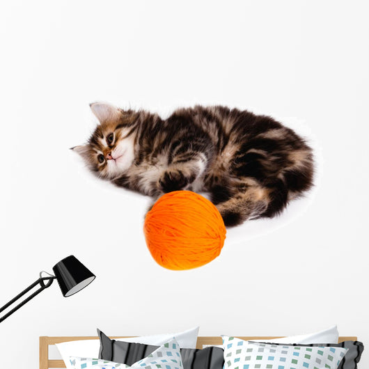 Funny Kitten and Ball of Thread on White Background Wall Decal