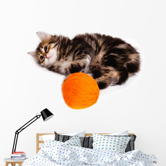 Funny Kitten and Ball of Thread on White Background Wall Decal