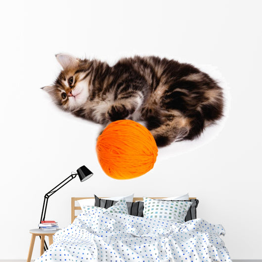 Funny Kitten and Ball of Thread on White Background Wall Decal