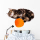Funny Kitten and Ball of Thread on White Background Wall Decal