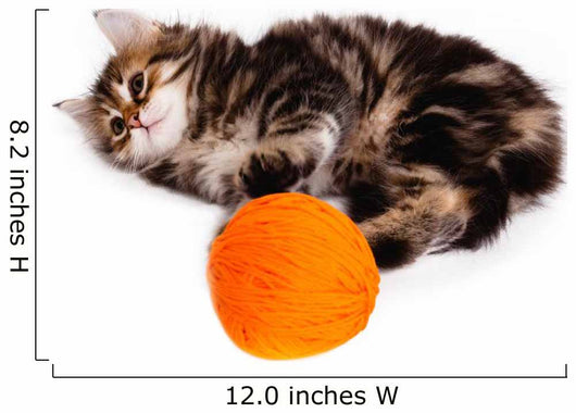 Funny Kitten and Ball of Thread on White Background Wall Decal