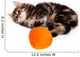 Funny Kitten and Ball of Thread on White Background Wall Decal