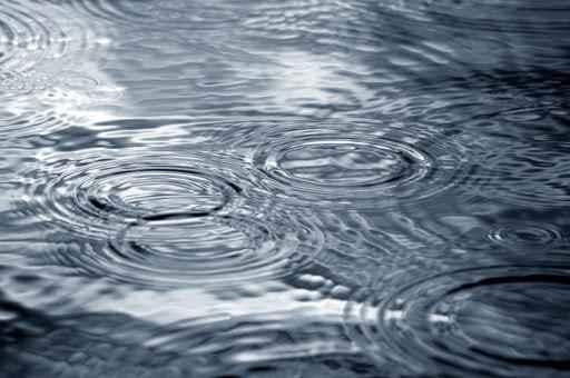 Rain Wall Decal