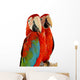 Green-winged Macaw 