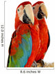 Green-winged Macaw 