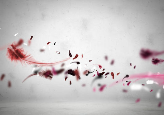 Flying Feathers Wall Decal