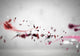Flying Feathers Wall Decal