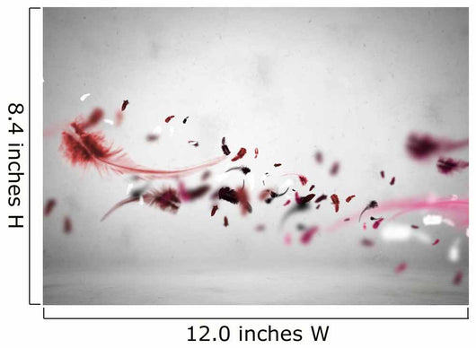 Flying Feathers Wall Decal