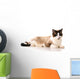 Ragdoll Cat Wall Decal